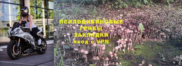 меф Бородино